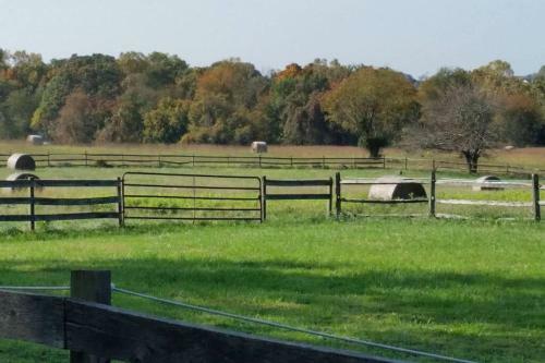 Pleasant Hills Farm Guest House