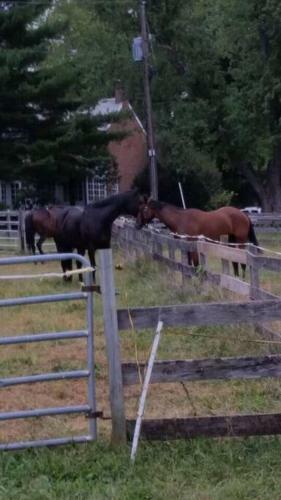 Pleasant Hills Farm Guest House