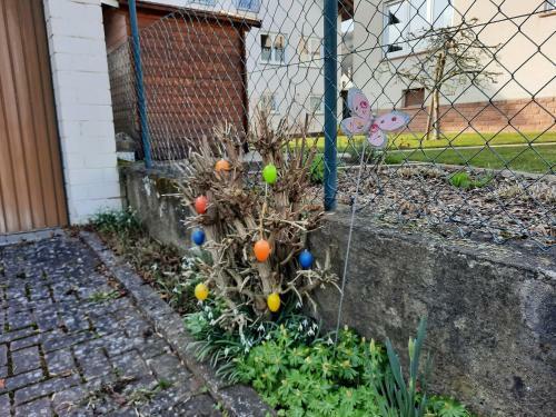 Apartamento Ferienwohnung -main- Ruheplatz Am Wasser