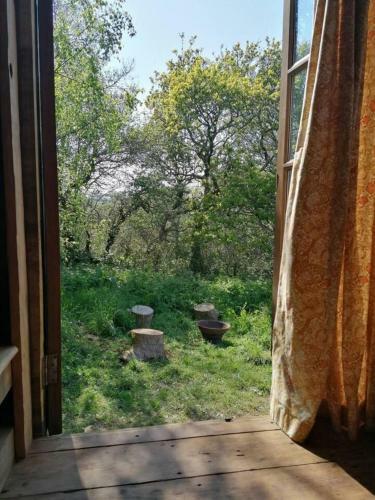 Stargazer Shepherds Hut A Warm And Cosy Getaway
