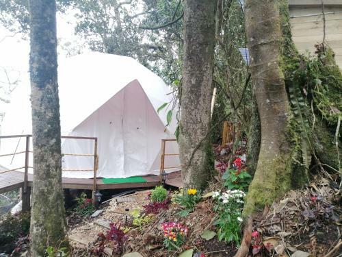 Glamping Orion