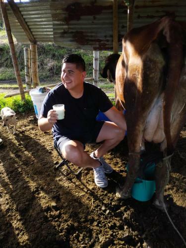 Alojamiento El Gitano
