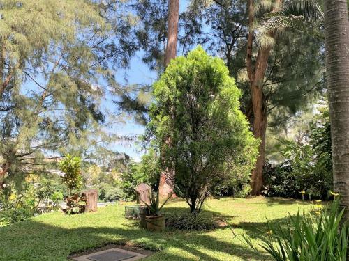 Luxury Modrn Apartment, W/amazing View, 3br,escalon,exclus,secur