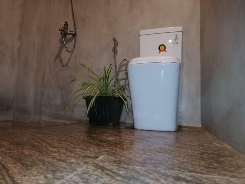 Hostal Sehas Home Stay
