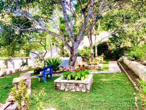 Apartamento Green Eco Villa