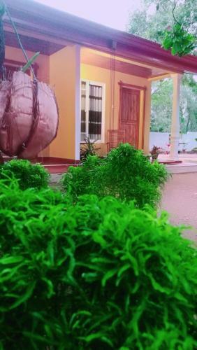 Hostal Gimhani Guest House