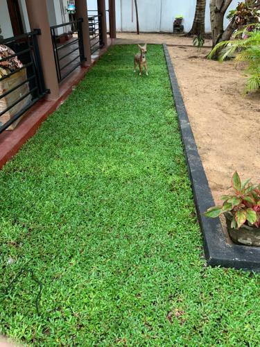 Hostal Aaruthraa Villa