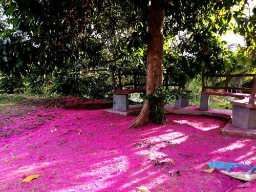 Hostal Amali Aswenna Agro Villa