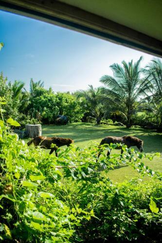Hotel Yala Bay Resort