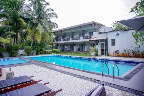 Hotel Blue Fox Holidays