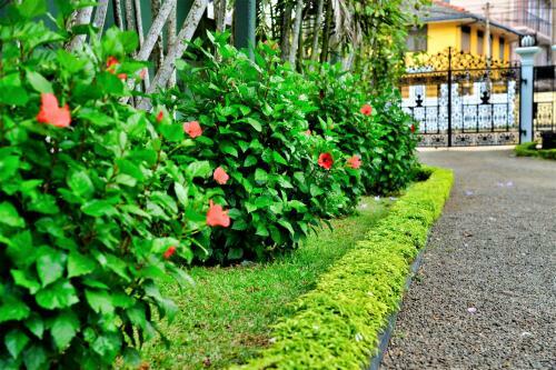 Bed & Breakfast Camellia Dwelling