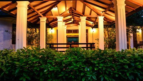 Bed & Breakfast Camellia Dwelling