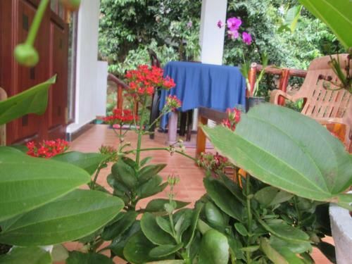 Ranga Villa