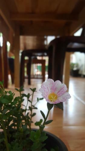 Ranga Villa