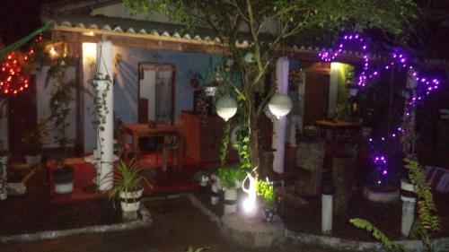 Hikka Bird Hostel