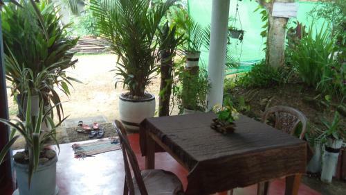 Hikka Bird Hostel