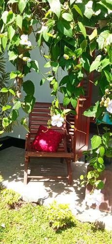 Bed & Breakfast Mandara Rest
