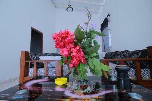 Apartamento Villa Madara