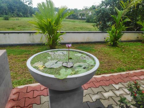 Bed & Breakfast Villa Red Pool