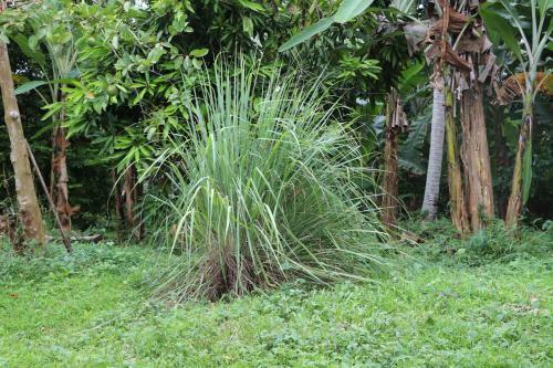 Agroturismo The Bunglow