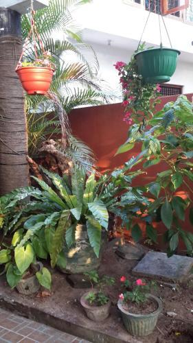 Hostal Dream Villa