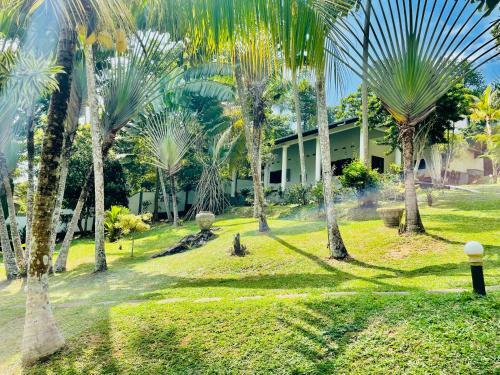 Villa Hilltop Garden