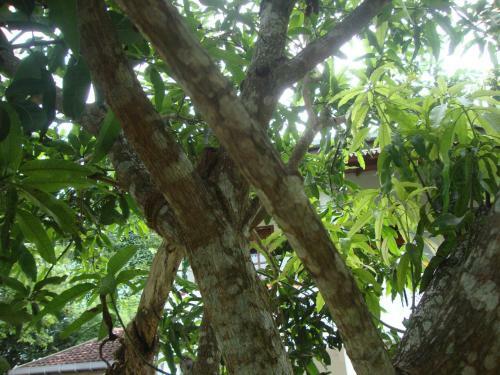 Apartamento Full Furnished Appartment