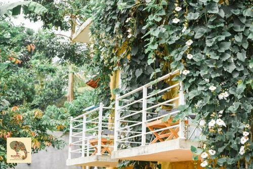 Hasthi Home Stay