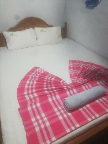Foresrsprits Homestay