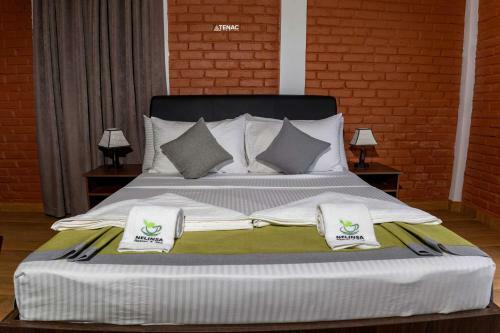Hotel Nelinsa Resort And Spa
