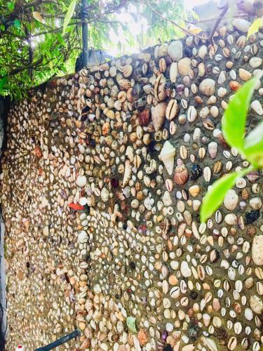 Hostal Surfing Waves Madiha