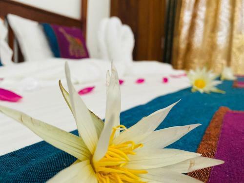 Hostal Kings Marine Sk Town