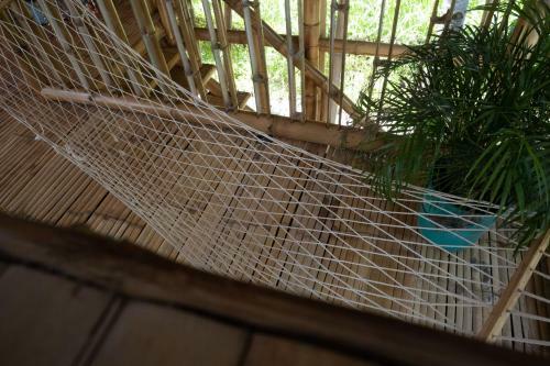 Mango Tree Eco-hostel