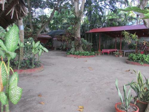 Felipa Beach Residence - Gumamela