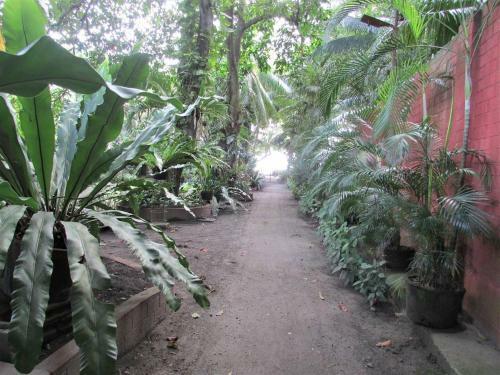 Hostal Felipa Beach Residence - Ilang Ilang
