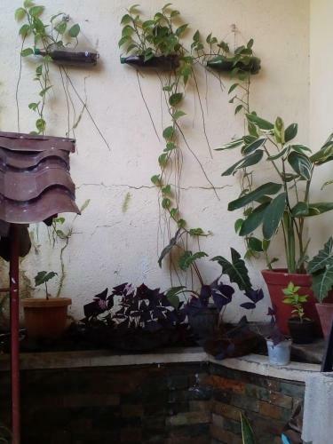 Hostal Ellens Homestay