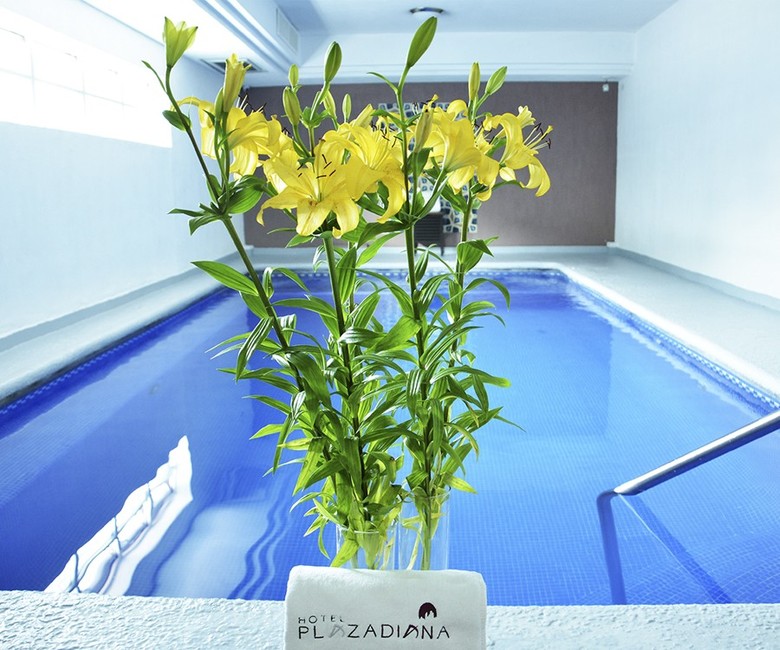 Hotel Plaza Diana