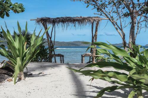 Dryft Darocotan Island