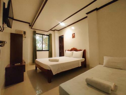 Alocasia Hostel