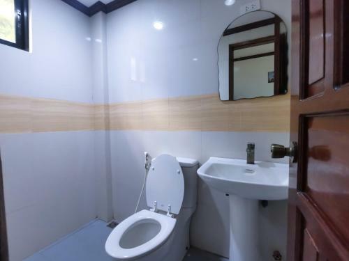 Alocasia Hostel