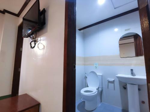 Alocasia Hostel