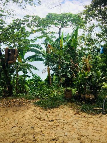 Camp Talusi Hills
