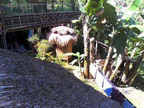 Hotel Nuts Huts