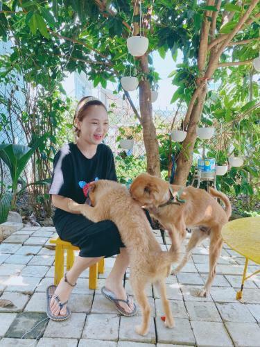 Hostal Pun Corner Homestay