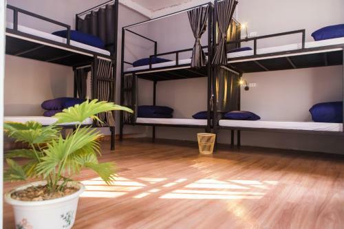 Albergue C? Home