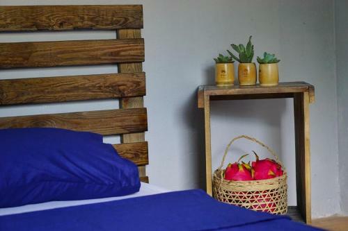 Albergue C? Home