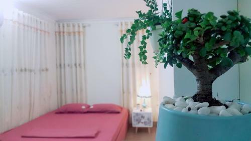 Bed & Breakfast Vancao Green Homestay