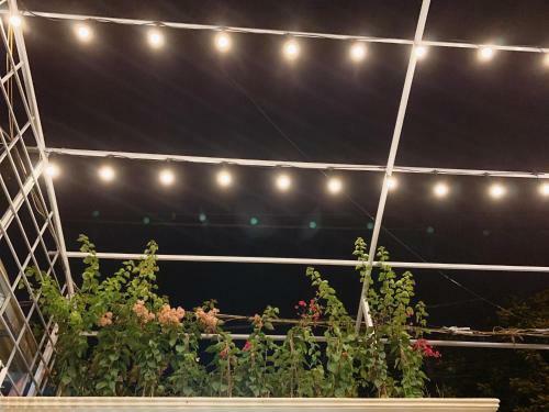 Bed & Breakfast Vancao Green Homestay