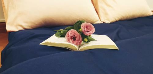 Love, Cassie Luxury Homestay