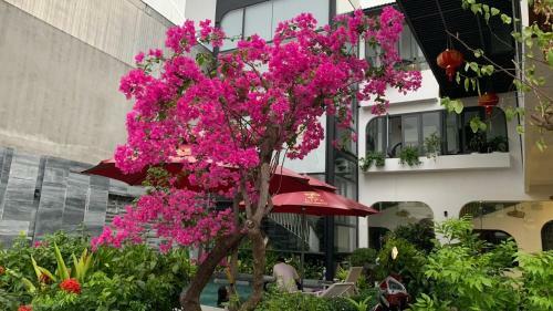 Life Boutique Hotel